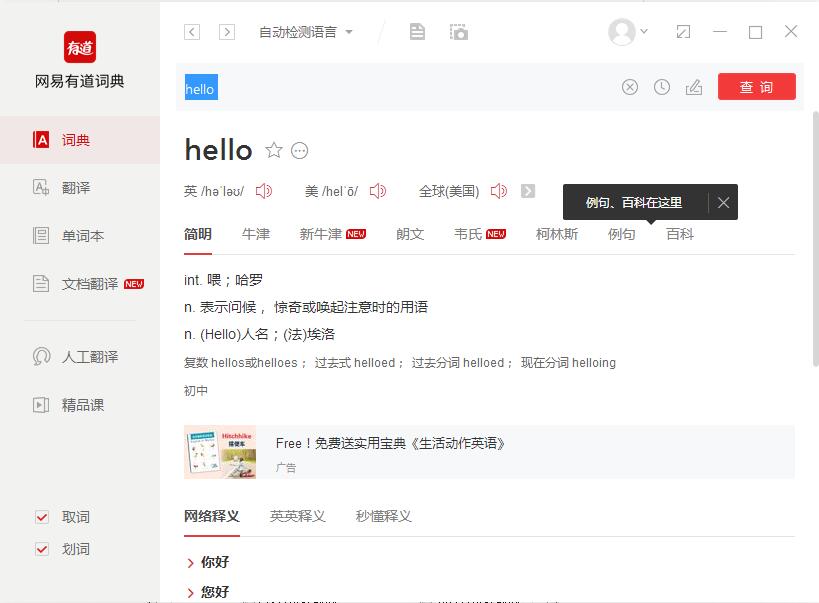 有道词典PC版离线翻译句子全攻略:无网络也能轻松翻译